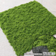 秦火人造假青苔草坪软装橱窗盆景地面铺面造景绿植墙装饰仿真苔藓草皮 浅绿色丝状苔藓0.5米×1米
