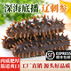 Shangyuewan ready-to-eat sea cucumber 1 Jin Jin equals 0.5 kg. Packed sea cucumber Liao sea cucumber Dalian sea cucumber net weight 500g/bag 1 Jin Jin equals 0.5 kg 7-9 heads/Jin Jin equals 0.5 kg