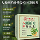 Hong Kong Pharmacy 1 Hair Wash Soaring Prices Pure plant Platycladus orientalis leaf shampoo soap Polygonum multiflorum and ginseng Chinese medicine handmade to prevent hair loss 1 box Pure handmade Chinese medicine to prevent hair loss
