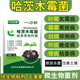 One knife kills Trichoderma harzianum microbial agents, Bacillus subtilis disease soil fertilizer 30g*30 bags
