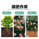 Yuntianhua Phosphate Fertilizer Flower Superphosphate Flower Fertilizer Vegetable Fertilizer Root-Strengthening Fertilizer Soil Fertilizer Chemical Fertilizer Vegetable Agricultural Fertilizer Phosphate Fertilizer Granules 30 Jin Jin is equal to 0.5 kg divided into 6 packages