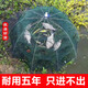 JCZS German brand folding umbrella cage fishing net fishing net cage fishing artifact only enters and exits but does not go out of the shrimp cage fishing cage fish cage ground thickening 6 holes ++ 5 packs of bait (30% of the candidates)