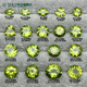 Fat Donglai's same type of natural peridot round necklace, earrings and ring surface supports inlay 18#
