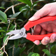 Vinoa thickened stainless steel gardening scissors, specially used for picking navel oranges, apples and tomatoes, stainless steel fruit picking pruning shears, thickened version 1 pair