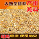 Wholesale chicken feed, laying hen feed, hen full price feed, medium and large chicken laying chicken, duck, goose, corn minced chicken feed, laying hen full price powder, 50 Jin Jin is equal to 0.5 kg