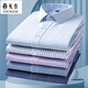 
CEO Yageol Long Sleeve Shirt Men's 2025 New Pure Cotton No-Iron Middle-aged Casual High-end Professional Shirt 6627 38 (Suggested 100-115Jin [Jin equals 0.5 kg])