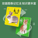 Animal Card Early Education Cognitive Enlightenment Book Children's Literacy Baby Look at Pictures and Things Pictures Children's Digital Education Toys Transportation Tools