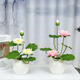 Artificial flower lotus for Buddha, lotus for Buddha, artificial flower for front of Buddha, artificial flower decoration, small ornaments, bonsai silk flower, Guanyin flower Buddha stand, 2 small porcelain vases plus 2 bunches of white, no smell