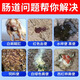 Enterotoxin removal for poultry, necrotizing enteritis, yellow-green loose stools and white diarrhea, chicken, duck and goose feed additives to repair the intestines 3 bags, special for enteropathy 100g/bag