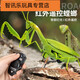 
Shantoulin Village remote control mantis electric toy prank artifact cockroach boy moves spider crawling animals Remote control mantis [classic version - remote control ladybug] red model 9922
