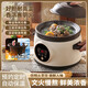 Electric stew pot steamer electric cooking pot stew pot casserole stew and steam all-in-one food supplement pot stew soup cup electric stew pot electric casserole soup pot stew water-proof porridge multi-function 5L purple sand scheduled appointment 4-6 people
