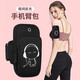 Ruipa (RUIPA) running mobile phone arm bag for men and women outdoor sports fitness running and cycling equipment mobile phone bag wrist cover mobile phone carrying music expert-large size 7 inches and below mobile phone