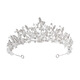 DYAI high-end crystal wedding fairy wedding dress tiara bride super fairy crown adult birthday princess elegant female light luxury silver crown necklace earrings with pierced ears