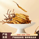 La nouvelle boîte cadeau séchée de Cordyceps séchée de Kangsil pour offrir des cadeaux à nourrir et à nourrir la qualité de sélection de Cordyceps pour les anciens Tibet Nagqu Cordyceps environ 2 racines / gram 80 racines (boîte cadeau)