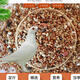 Young pigeon feed, small pigeons, corn-free, pea-free, small-mouthed pigeon nutrition, pigeon food, homing pigeon bird food, pigeon food, bird food 10Jin Jin is equal to 0.5 kg, no corn, no pea, pigeon food