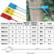 One-time customized garden seedling seal number tree extended plastic seal label sign 42CM50CM60CM plastic 33cm blue 100 pieces