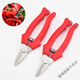 Vinoa thickened stainless steel gardening scissors, specially used for picking navel oranges, apples and tomatoes, stainless steel fruit picking pruning shears, thickened version 1 pair