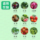 进口苗乐挪威雅苒复合肥料种蔬菜月季养花西瓜辣椒专用通用硫酸钾 雅苒苗乐15-12-15100克分装