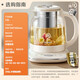 SUPOR pure titanium health kettle glass panel kettle 316L stainless steel constant temperature tea kettle enlarged filter electric kettle multi-stage thermal insulation kettle electric kettle health kettle 1.5L titanium heating plate + 316L enlarged tea basket