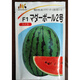 Early spring ruby watermelon seeds Japanese fruit seeds sown in four seasons super sweet small watermelon seeds spring early spring ruby 200 original (produced in Xinjiang)