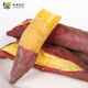 Jingxiansheng Zhejiang Agricultural Specialties Lin'an Tianmu Mountain Small Sweet Potatoes Sweet Potatoes and Sweet Potatoes 5Jin Jin is equal to 0.5kg Export grade fresh vegetables