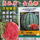 Kirin Meidu watermelon seeds with thin skin, crack-resistant, few seeds, super sweet and crispy 8424 round watermelon, Meidu watermelon seeds, 100 pieces original bag, Jinmeidu