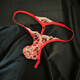 Men's fully transparent embroidered hollow one-thread seamless underwear low-waist thong seductive niche hot T-pants red one size 100-150