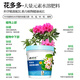 Correction Hualeduo*Huaduoduo No. 2 + No. 1 flower fertilizer No. 1 to promote growth No. 2 to promote flowering water-soluble fertilizer 600g