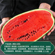 Dayu Lazy Man Watermelon Seed Seedlings Extra Large Suitable for Early Maturing Lazy Man in the South 8424 Kirin Melon Meidu Seedless Fruits and Vegetables Big Fruit Black Beauty Watermelon Seeds 20 capsules 4-6kg