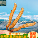 藏幽正宗冬虫夏草礼盒装滋补品头期干虫草送长辈父母领导营养品礼物 【严选品质】3根/克-10克-30根【送礼推荐】