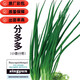 Four-season chive seeds, green onion seeds, balcony indoor potted onion seeds, cold-resistant vegetable seeds, home vegetable seeds, four-season chive seeds, about 200 pieces, brand original color pack