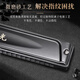 Guoguang 24-hole Guozhimeng performance-grade polyphonic harmonica in C (silver, embedded, glasses case)