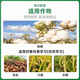 Quanfeng Spida 5% Prohexadione Calcium + 98% Mepifenidium Rice and Peanut Plant Growth Regulator Pesticide 15g (set)