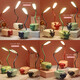USB plug-in table lamp LED cartoon desktop ornament children's gift night light cute little desk lamp kindergarten gift cute pet lamb + pen holder function + plug-in style random color