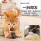 Jingdong Express Cat Toy Touch Sensing Sounding Cat Funny Stick Plush Simulation Bird Grinding Teeth Self-Happiness and Relieving Boredom One Sounding Toy (Bird)