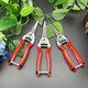 Diaohuang special scissors for cutting garlic, grape and fruit picking scissors, spring vegetable and fruit picking scissors, orange gardening scissors, thin fruit scissors, 210 long straight head plastic handle fruit and vegetable scissors, single price is high