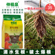 Zhongxiquan Breathable Rooting Powder Vegetables and Flowers Field Fruit Trees and Fruits Transplanting Seedlings Rapid Rooting Agent Powerful Rooting Liquid 500g*3 Bags