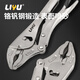 Liyu Dali pliers multi-functional dual-speed pressure pliers industrial grade clamp tool Dali pliers 10 inches