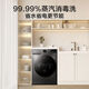 小天鹅（LittleSwan）全自动洗衣机12公斤TD120V098WDT滚筒洗烘一体消毒洗商用洗衣机 12公斤098洗脱-723opw983t