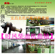 温以嘉定制柴油机曲轴 ZS1105/1115 SF24/28/148/178/188/200发动机曲轴 ZS195/1100曲轴【双瓦式】
