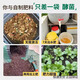 Yiqiang biocomposting fermentation bacteria kitchen waste leaves straw manure organic materials farmyard manure retting fermentation fermentation powder decomposition agent one bag for home use