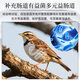 Kaiyuan (KO) Lark Bird Food Premium Bird Food Full Price Nutritional Probiotics General Bird Feed Love Singing Pretty Feathers Barrel 500g Full Price Lark Bird Food Barrel 500g