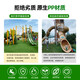 Simulated lawn carpet, green plastic decorative artificial grass bedding, kindergarten artificial floor mat, outdoor fake turf, 2cm encrypted soft spring grass, 95% selected, no residue, 5-year warranty, 1 meter wide and 5 meters long
