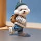 Pengyi's new creative puppy backpack pendant car acrylic pendant cute keychain for best friend pendant Teddy cute Teddy puppy-1 pack No Specifications