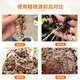 Guoguangzhigen 5% naphthalene acetic acid flower seedling transplant cutting rapid rooting Ligustrum lucidum fruit drop growth regulator Guoguangzhigen 1LX1 bottle