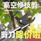 Leaf high branch shears pruning shears stainless steel scissors for pruning garden sparse flowers and fruits pruning high-altitude pruning shears high branch flower pruning shears 1.5 meters non-retractable second hair with spare spring