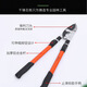 High branch shears imported from Japan Japan original imported thick branch shears Great White Shark high branch shears powerfully cut garden fruit trees Japanese Great White Shark gear assist super labor-saving telescopic