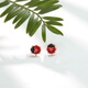 Chao Acer Little Ladybug 18K Gold Stud Earrings for Women Rose Gold Color Gold Earrings Fashionable Birthday Gift for Girlfriend Pre-sale Single Earring
