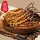 Pékin Tongrentang Cordyceps même qualité Cordyceps Boad Cordyceps Boad Boîte de santé Produits de santé Suppléments nutritionnels Cordyceps King Médicaments Médicaments 50 Boîtes-cadeaux (Spécifications 3 bâtons par gramme)