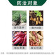 Green Silver 60% Choline Chloride Underground Rhizome Expansion Sweet Potato Peanut Potato Sweet Potato Peanut Garlic Onion Ginger Expansion 500ml